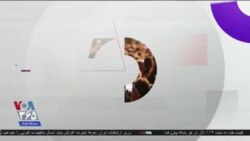 خبر ۸