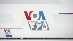 اخبار شبانگاهی