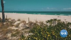 Acres of Florida Fruit and Veggies Left to Rot Due To Pandemic