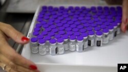巴西一名医护人员在圣保罗的一个医疗中心整理一盘辉瑞新冠疫苗。（2021年5月6日）