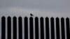 El juez Keno Vásquez emitió una prohibición temporal el martes en Texas contra el grupo "We Build the Wall" (Nosotros construimos el muro), que llegó a recaudar 25 millones de dólares para erigir una valla privada. 