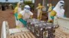 FILE - Healthcare workers carry the coffin of a baby believed to have died of Ebola, in Beni, North Kivu Province of Democratic Republic of Congo, Dec. 15, 2018. 