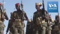 L'armée tchadienne se retire du Nigéria