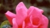 16x9 Image