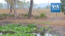 Enfin de la pluie après les incendies en Australie