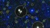 This zoomed-in view of a portion of the all-sky survey from NASA's Wide-field Infrared Survey Explorer shows a collection of quasar candidates. Quasars are supermassive black holes feeding off gas and dust. (NASA)