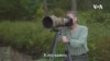 Заслуженный профессор биологии или фотограф?