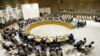 General view of UN Security Council meeting, May 2, 2012
